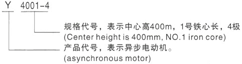 西安泰富西玛Y系列(H355-1000)高压虹口三相异步电机型号说明